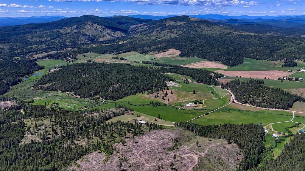 27120 E Blanchard Loop, Newport, WA 99156 photo 28