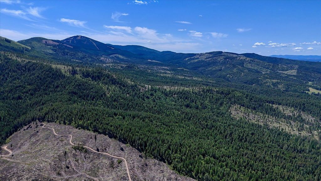 27120 E Blanchard Loop, Newport, WA 99156 photo 29