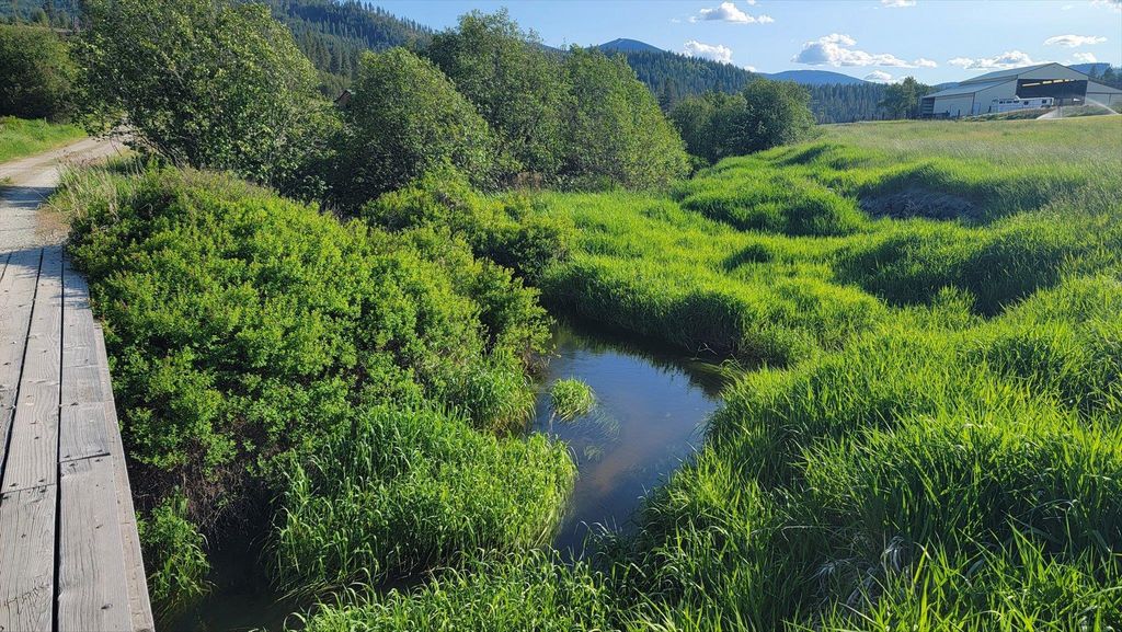 27120 E Blanchard Loop, Newport, WA 99156 photo 4