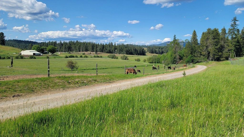 27120 E Blanchard Loop, Newport, WA 99156 photo 48