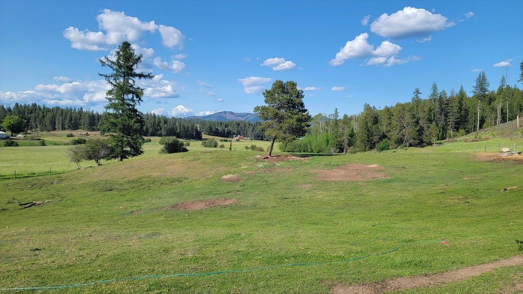 27120 E Blanchard Loop, Newport, WA 99156 photo 49