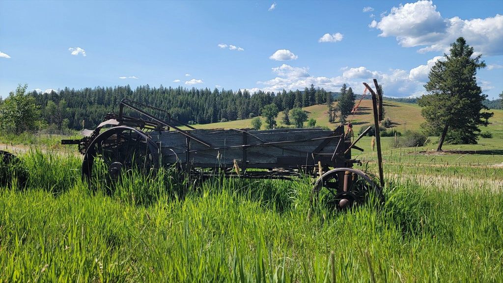 27120 E Blanchard Loop, Newport, WA 99156 photo 50