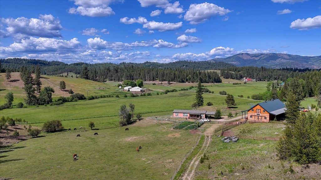 27120 E Blanchard Loop, Newport, WA 99156 photo 8