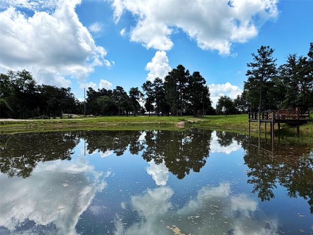 6488 Fm 39 S, Marquez, TX 77865