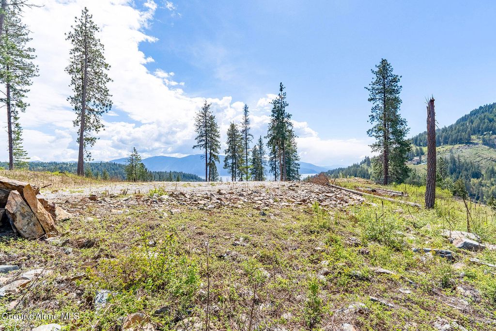 1 Red Hawk Landing, Sagle, ID 83860 photo 4