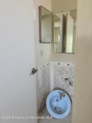 4235 Tahiti Drive, Hernando Beach, FL 34607
