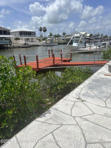 4235 Tahiti Drive, Hernando Beach, FL 34607