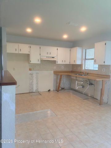 4235 Tahiti Drive, Hernando Beach, FL 34607