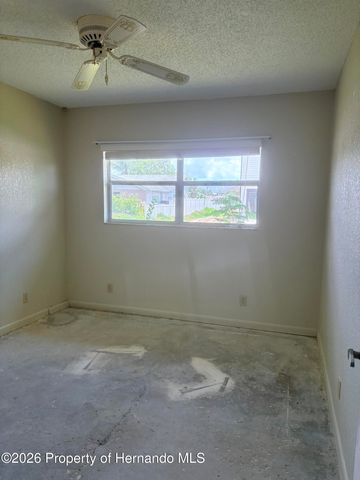 4235 Tahiti Drive, Hernando Beach, FL 34607