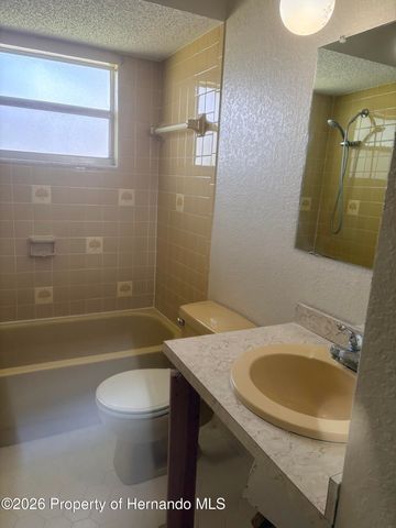 4235 Tahiti Drive, Hernando Beach, FL 34607