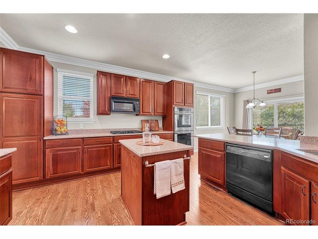 16204 E Swift Fox Pl, Parker, CO 80134