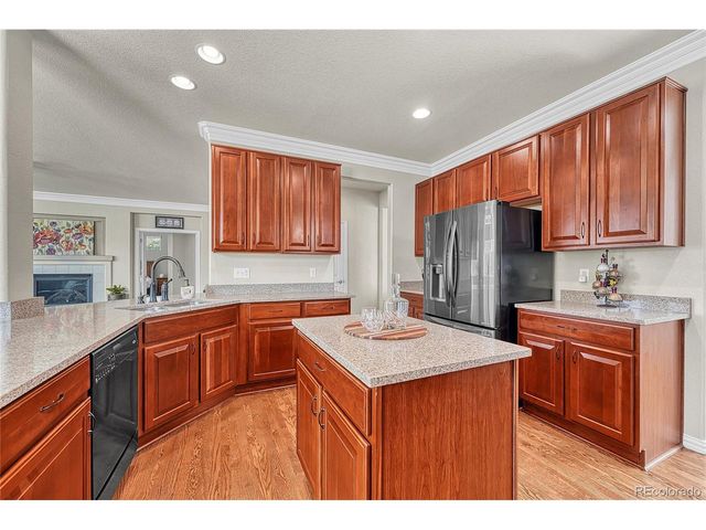 16204 E Swift Fox Pl, Parker, CO 80134