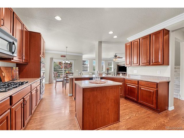 16204 E Swift Fox Pl, Parker, CO 80134