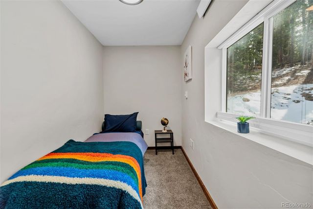 71 Aspen Street, Alma, CO 80420