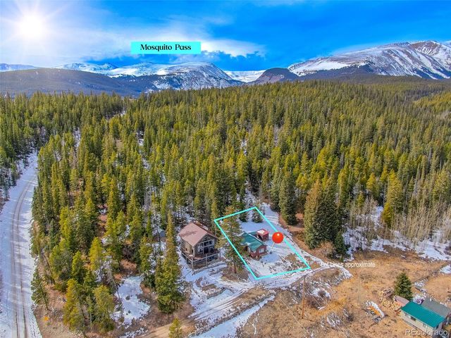 71 Aspen Street, Alma, CO 80420