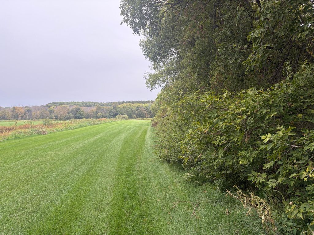 TBD County Road 4, Zimmerman, MN 55398 — photo 5
