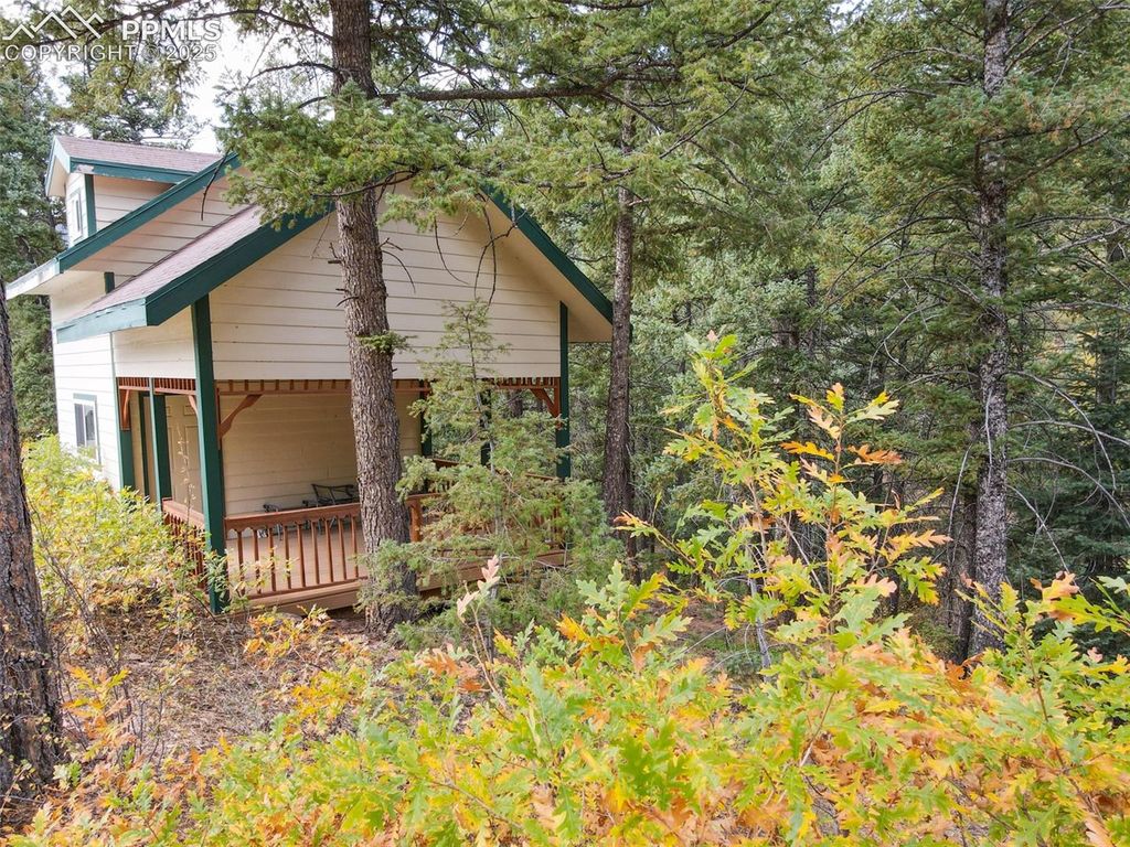 4950 Little Turkey Creek Road, Colorado Springs, CO 80926 — photo 3