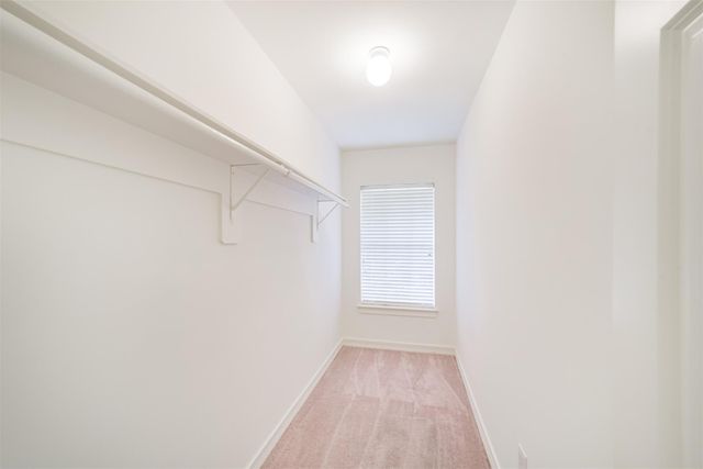 227 Mcgowen Street, Houston, TX 77006