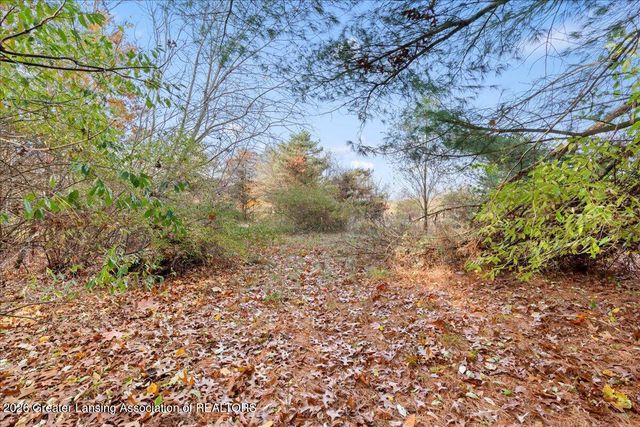 161 Germany Road, Williamston, MI 48895