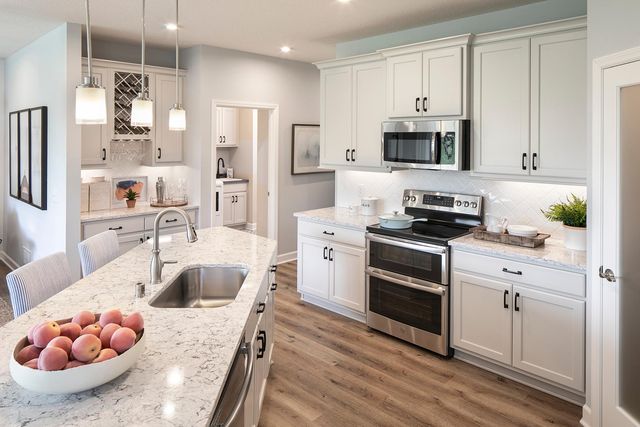 8017 Xyloid Lane, Corcoran, MN 55340