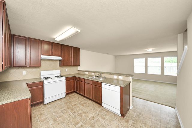 15623 Sheldon Ridge Way, Houston, TX 77044