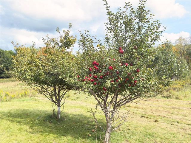 2952 90th Street, Frederic, WI 54837