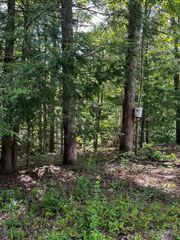 0 Lot 93 Sled Run Road, Wellington, KY 40387