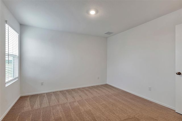 1207 Catfish LN, Bastrop, TX 78602