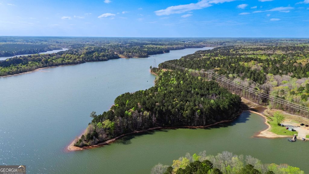 0 Hunter Road, Locust Grove, GA 30248 — photo 4