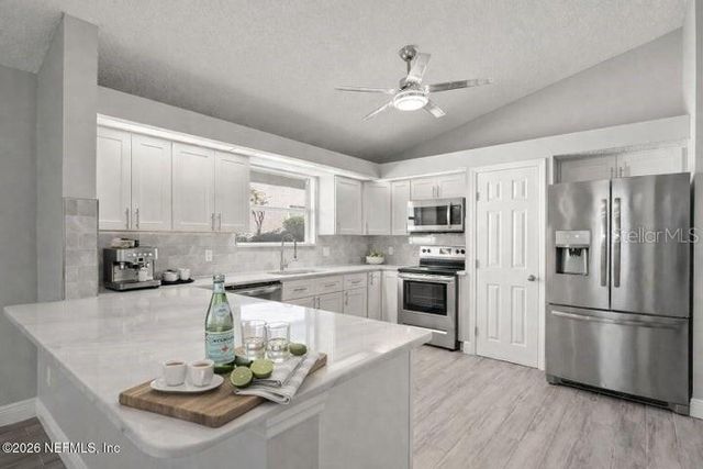 224 SEA WOODS DRIVE N, St Augustine, FL 32080