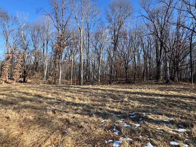 14775 Stutz Street NE, Ham Lake, MN 55304