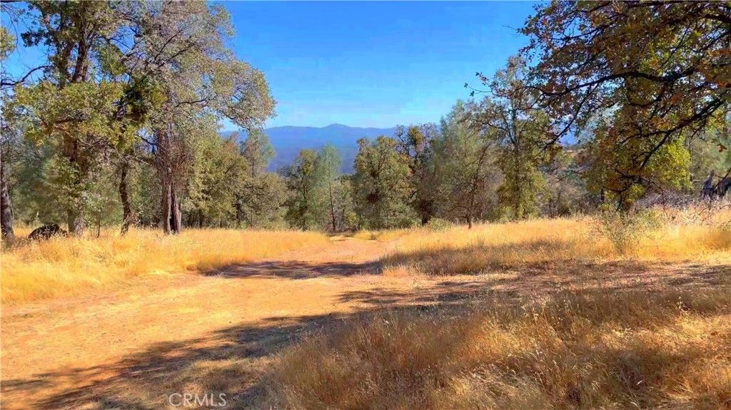 Image 15 of property listing at 5341 Paddy Hill Road, Mariposa, CA 95338