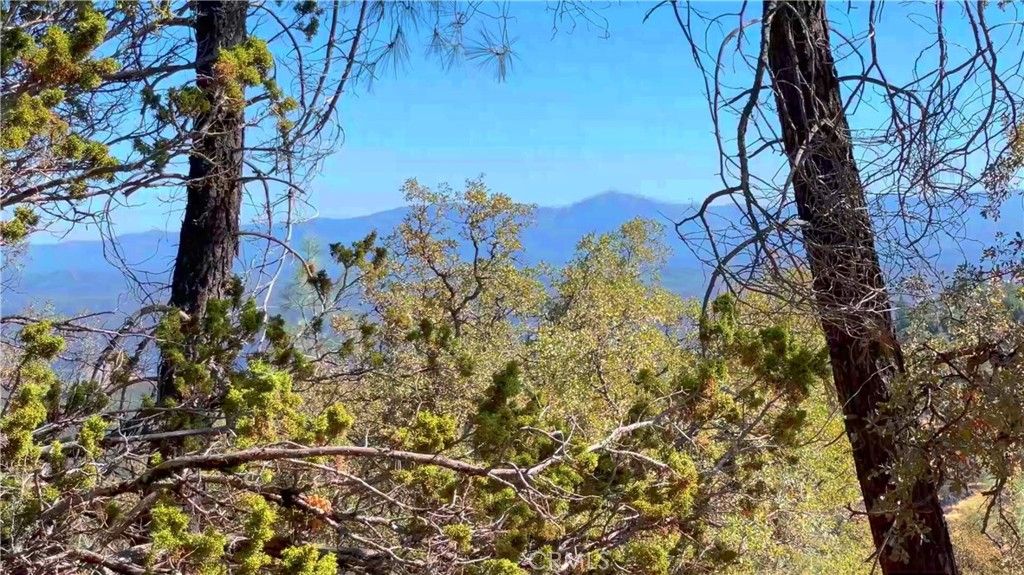 Image 16 of property listing at 5341 Paddy Hill Road, Mariposa, CA 95338