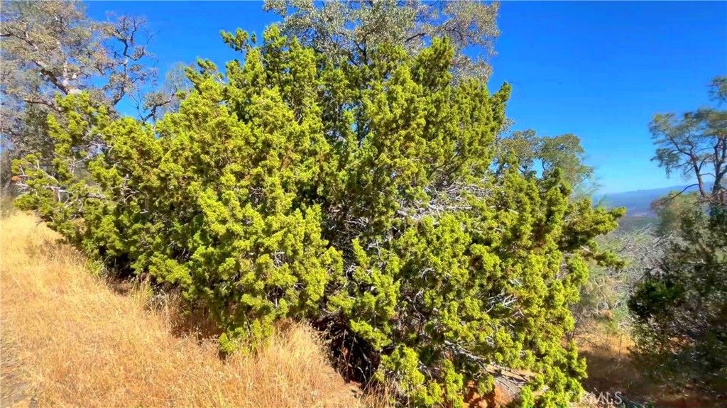 Image 17 of property listing at 5341 Paddy Hill Road, Mariposa, CA 95338