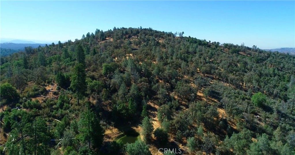 Image 19 of property listing at 5341 Paddy Hill Road, Mariposa, CA 95338
