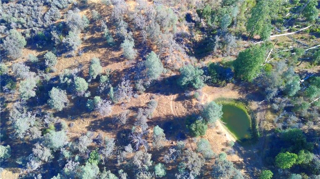 Image 20 of property listing at 5341 Paddy Hill Road, Mariposa, CA 95338
