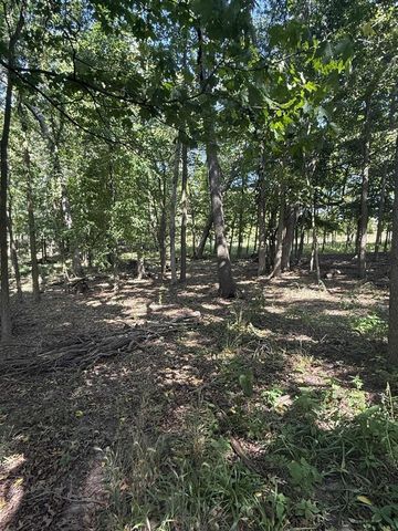 781 Hopkins Road, Lyons, MI 48851