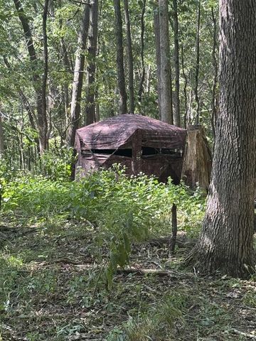 781 Hopkins Road, Lyons, MI 48851