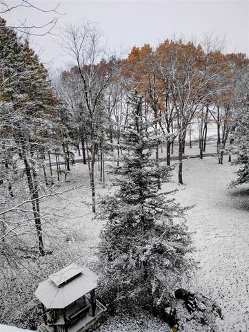 781 Hopkins Road, Lyons, MI 48851
