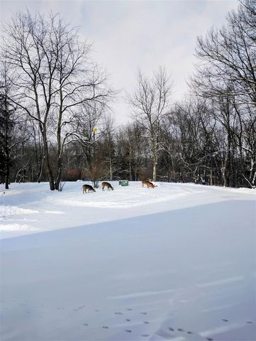 781 Hopkins Road, Lyons, MI 48851
