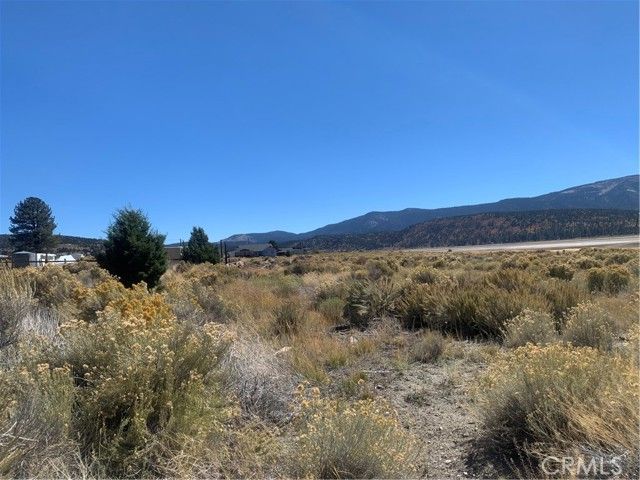 1883 Edgerton Road, Big Bear City, CA 92314