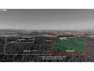 23900 TERRITORIAL PARCEL 3 Hwy 3, Monroe, OR 97456