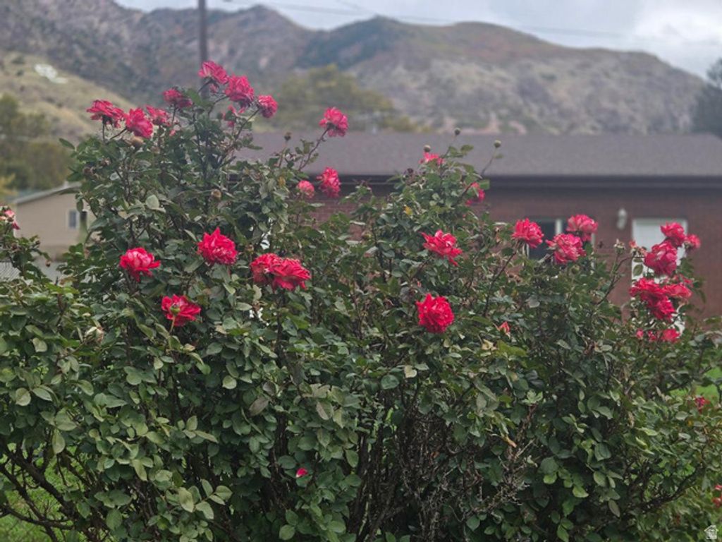 Image 40 of property listing at 1358 CROSS ST, Ogden, UT 84404
