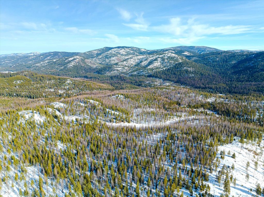 NHN McGinnis Meadows - Fishtrap Road Section 9, Libby, MT 59923