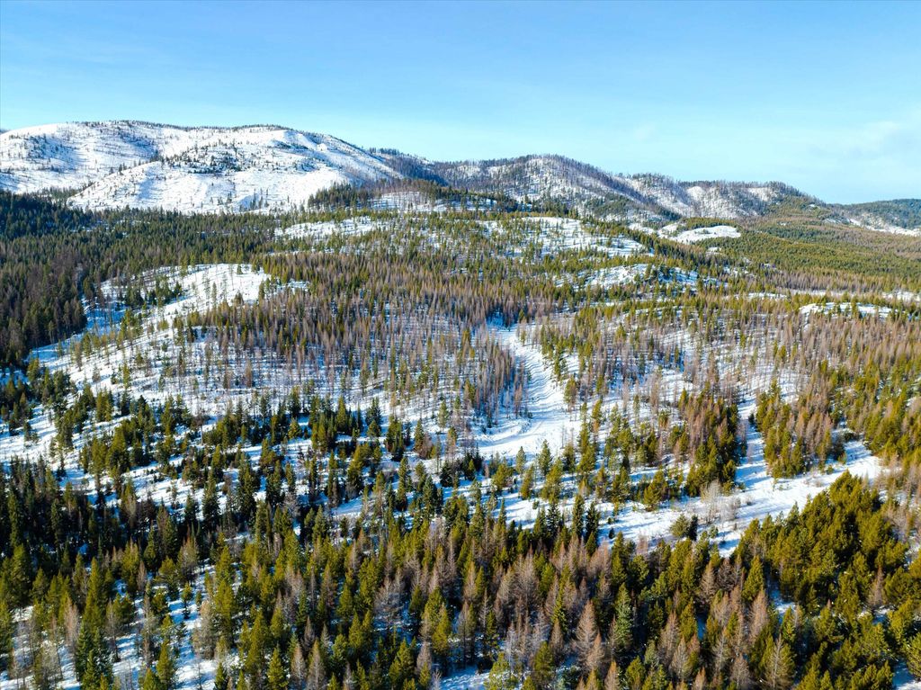 NHN McGinnis Meadows - Fishtrap Road Section 9, Libby, MT 59923 photo 12