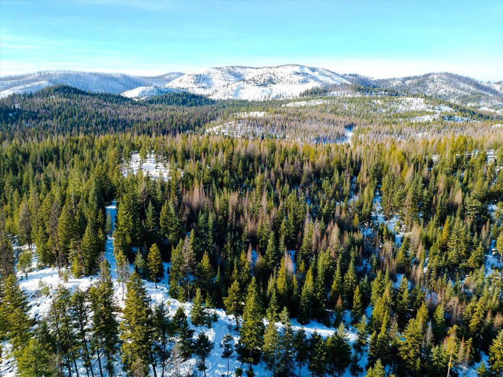 NHN McGinnis Meadows - Fishtrap Road Section 9, Libby, MT 59923 photo 14