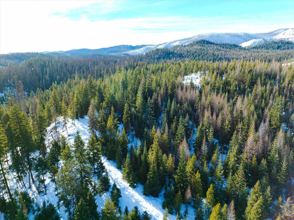 NHN McGinnis Meadows - Fishtrap Road Section 9, Libby, MT 59923 photo 15