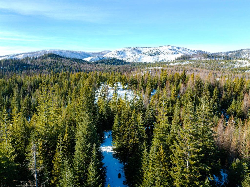 NHN McGinnis Meadows - Fishtrap Road Section 9, Libby, MT 59923 photo 16