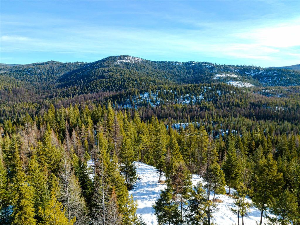 NHN McGinnis Meadows - Fishtrap Road Section 9, Libby, MT 59923 photo 17