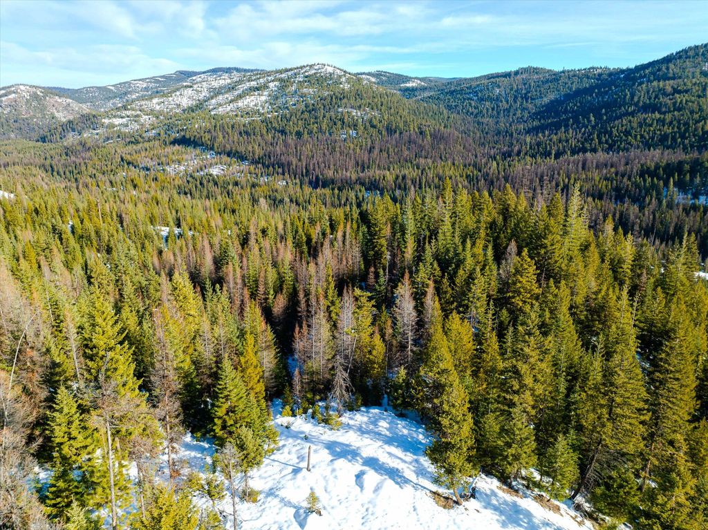 NHN McGinnis Meadows - Fishtrap Road Section 9, Libby, MT 59923 photo 18